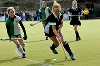 Muckross Park vs Newbridge College, March 14 2013, Leinster Schoolgirl's Junior Plate, Grange Road
