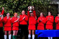 Leinster Senior Cups