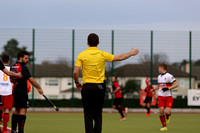 Umpire Rob Argent