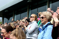 Ireland fans